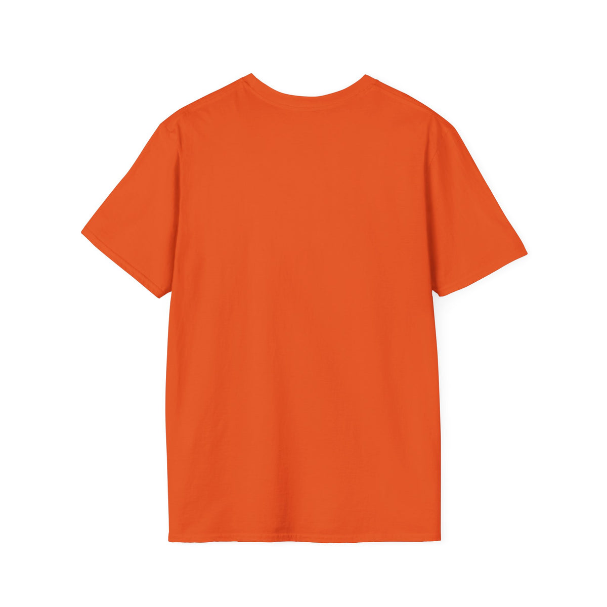 "Jesus The Truth” Unisex T-Shirt - Broke & Dreamin' T-Shirts