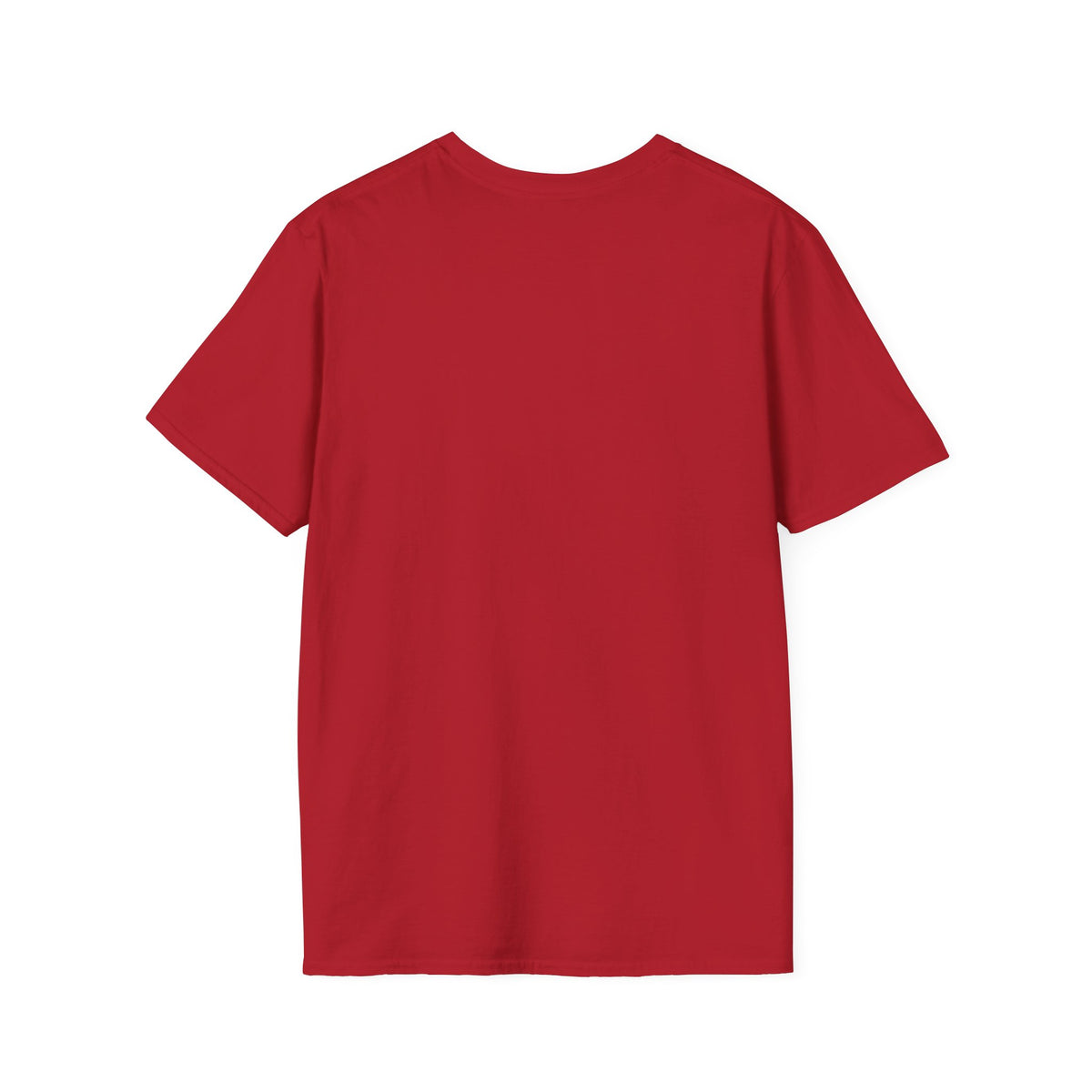 "Jesus The Truth” Unisex T-Shirt - Broke & Dreamin' T-Shirts